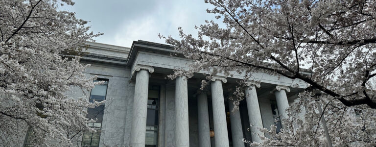 Exterior of a marble building with columns surrounded by white flowering trees.
